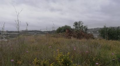 Land of 4,500 m² in Algarrobo (29750)