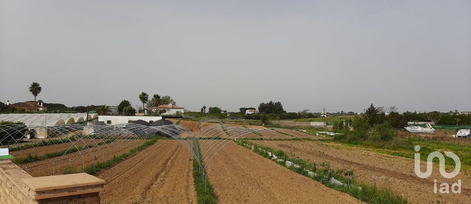 Terreno de 32.000 m² en Cartaya (21450)
