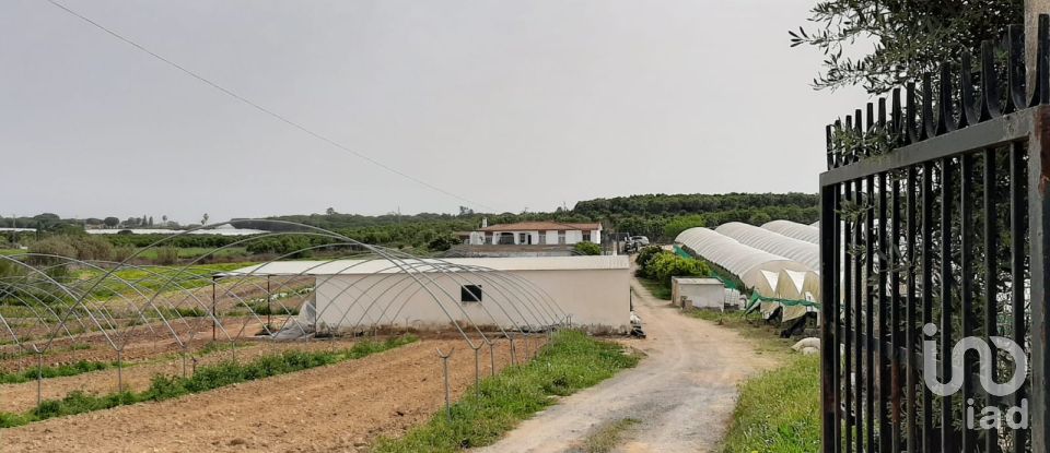 Terreno de 32.000 m² en Cartaya (21450)