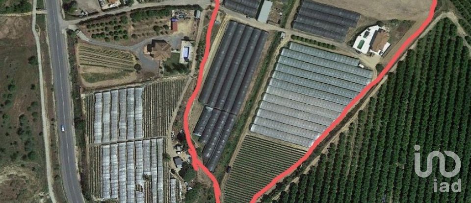 Terrain de 32 000 m² à Cartaya (21450)