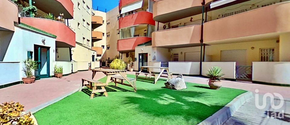 Apartment 3 bedrooms of 91 m² in Almoradí (03160)