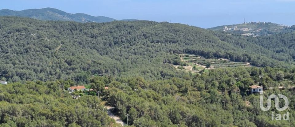 Terrain de 3 908 m² à Sant Pere de Ribes (08810)