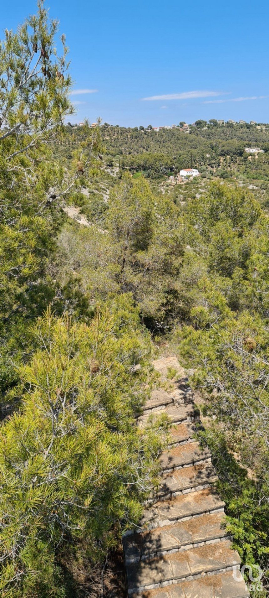 Land of 3,908 m² in Sant Pere de Ribes (08810)