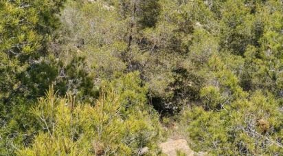 Land of 3,908 sq m in Sant Pere de Ribes (08810)
