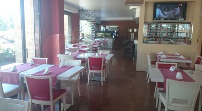Restaurant de 261 m² à Lloret de Mar (17310)