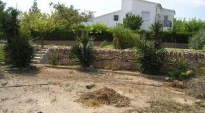 Terrain de 1 000 m² à Cabra del Camp (43811)