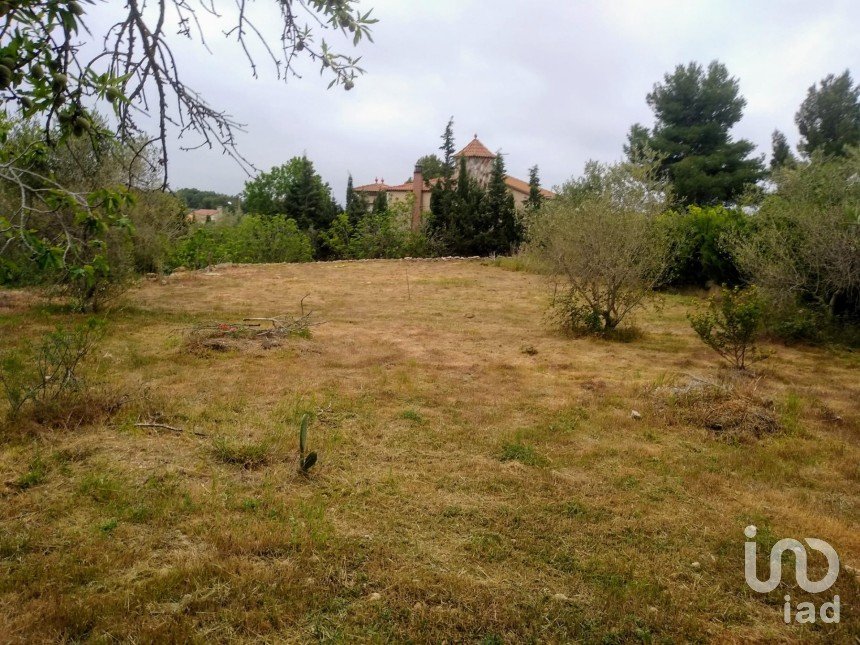 Terra de 1.000 m² a Cabra del Camp (43811)
