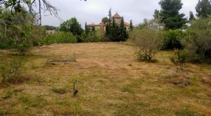 Land of 1,000 m² in Cabra del Camp (43811)