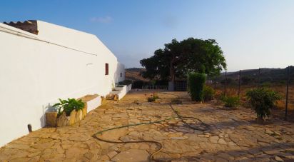 Maison de campagne 0 chambre de 200 m² à Tarifa (11380)