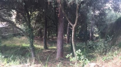 Land of 1,023 m² in Samalus (08445)