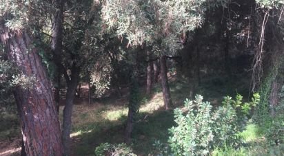 Land of 1,023 m² in Samalus (08445)