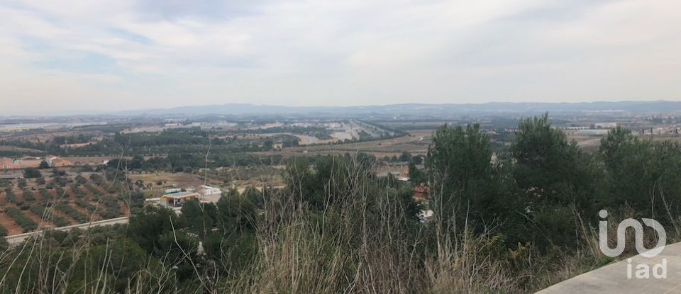 Land of 573 m² in La Bisbal del Penedès (43717)