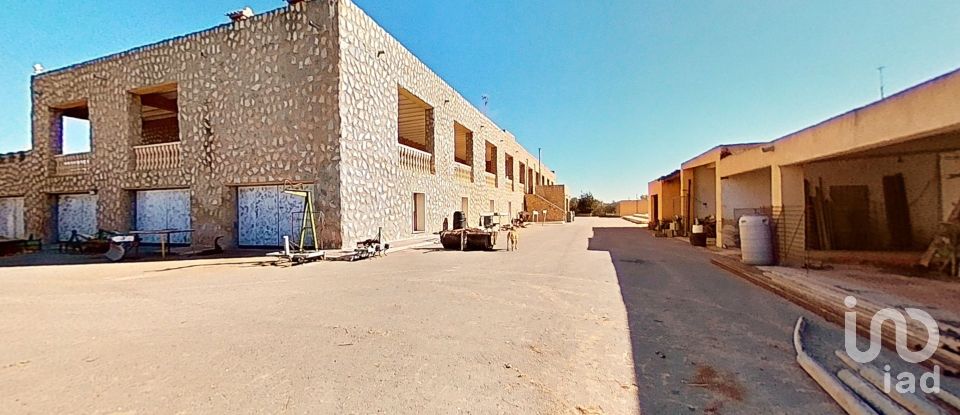Maison 13 chambres de 1 800 m² à Almoradí (03160)