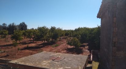 Land of 3,058 m² in Vila-Real/Villarreal (12540)