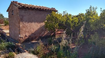 Land of 3,058 m² in Vila-Real/Villarreal (12540)