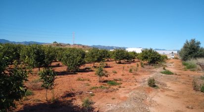 Land of 3,058 m² in Vila-Real/Villarreal (12540)