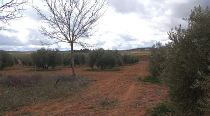 Terreno de 1.975 m² en Valdepeñas (13300)