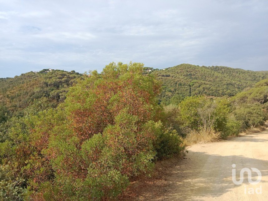 Terrain de 11 000 m² à Sant Cebrià de Vallalta (08396)