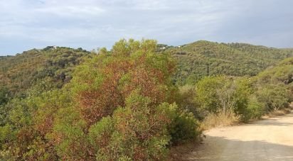 Land of 11,000 m² in Sant Cebrià de Vallalta (08396)