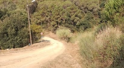 Land of 11,000 m² in Sant Cebrià de Vallalta (08396)