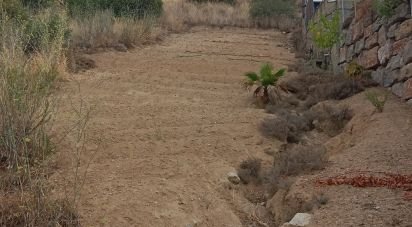 Land of 11,000 m² in Sant Cebrià de Vallalta (08396)