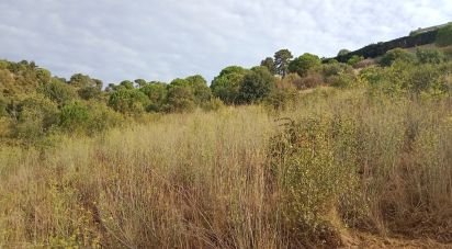 Land of 11,000 m² in Sant Cebrià de Vallalta (08396)