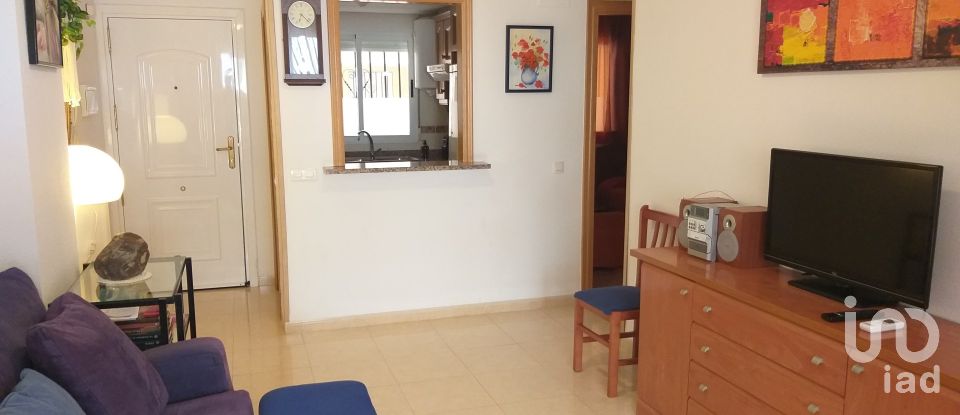 Apartment 2 bedrooms of 50 m² in Oropesa/Oropesa del Mar (12594)