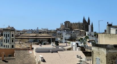 Pis 3 habitacions de 196 m² a Palma de Mallorca (07012)