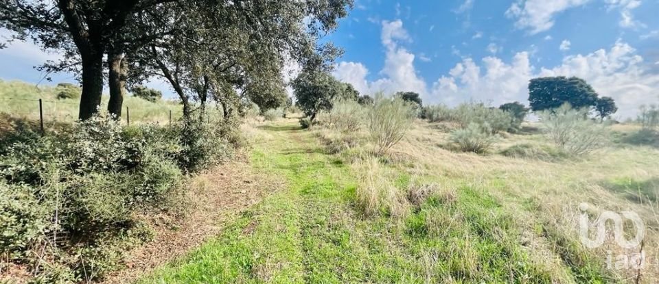 Land of 3,858 m² in Almorox (45900)