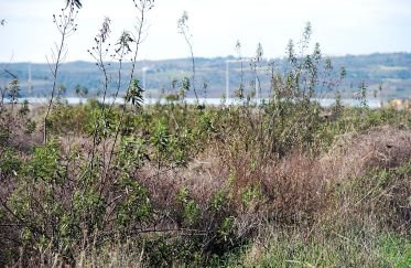 Pis 2 habitacions de 82 m² a Ayamonte (21400)