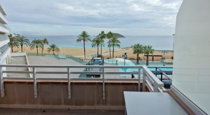 Apartment 0 bedrooms of 48 m² in Magaluf (07181)