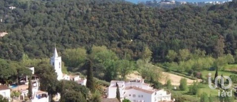 Land of 42,879 m² in Sant Cebrià de Vallalta (08396)