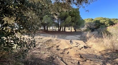 Land of 625 m² in Arenys de Mar (08350)