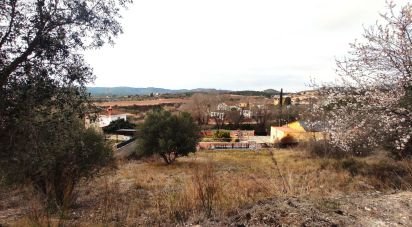 Land of 530 m² in La Bisbal del Penedès (43717)