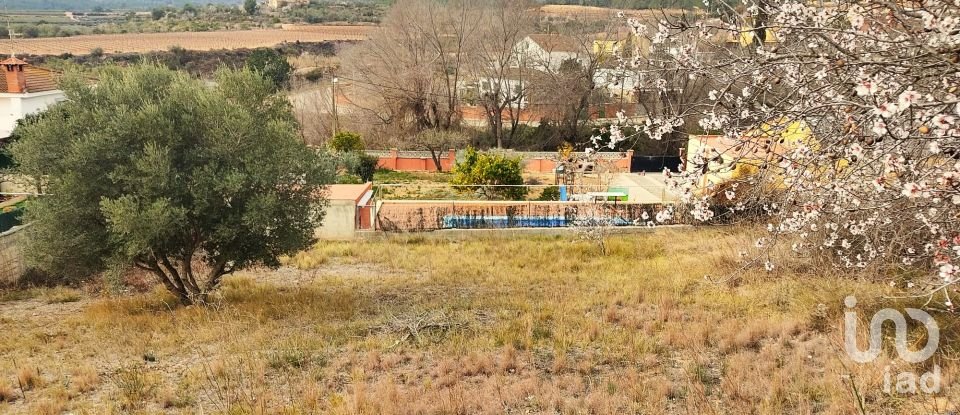 Terreno de 530 m² en La Bisbal del Penedès (43717)