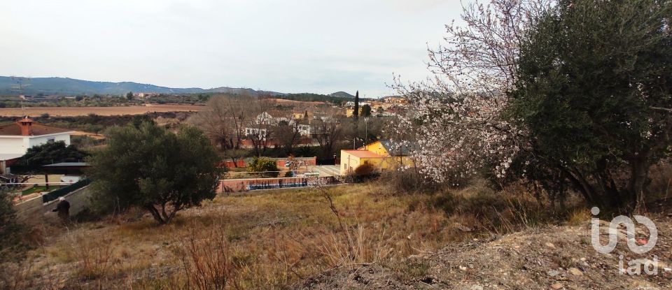 Terreno de 530 m² en La Bisbal del Penedès (43717)