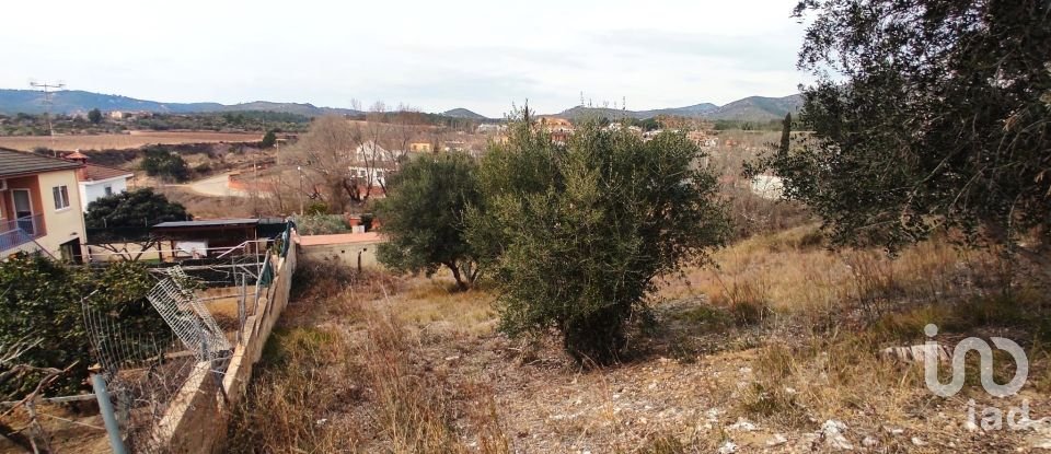 Terreno de 530 m² en La Bisbal del Penedès (43717)