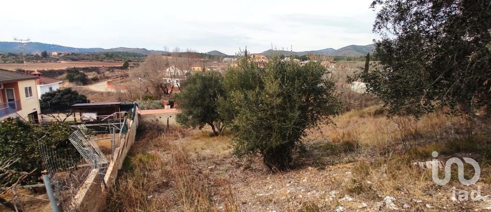 Terrain de 530 m² à La Bisbal del Penedès (43717)