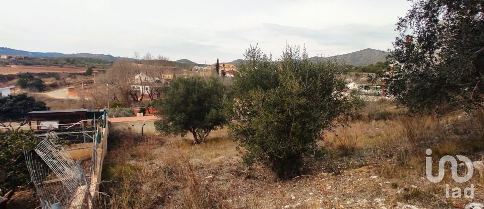 Terreno de 530 m² en La Bisbal del Penedès (43717)