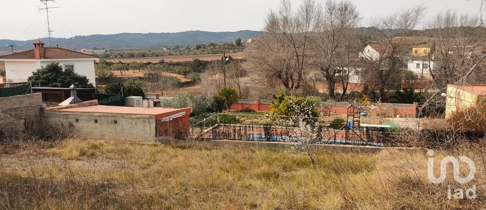 Terreno de 530 m² en La Bisbal del Penedès (43717)