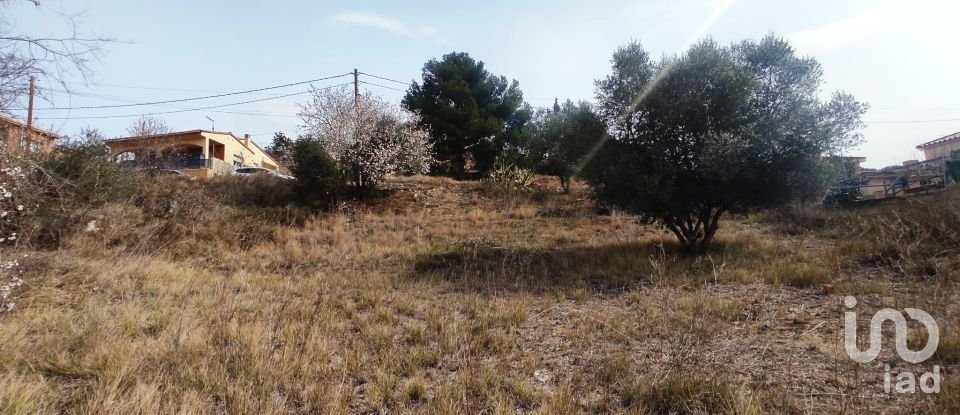 Terreno de 530 m² en La Bisbal del Penedès (43717)