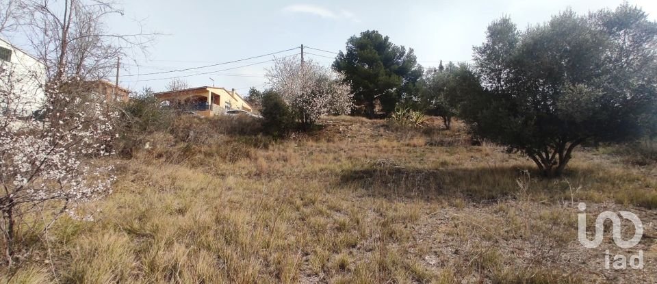 Terreno de 530 m² en La Bisbal del Penedès (43717)