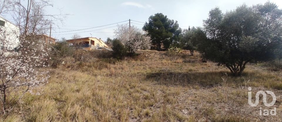 Terra de 530 m² a La Bisbal del Penedès (43717)