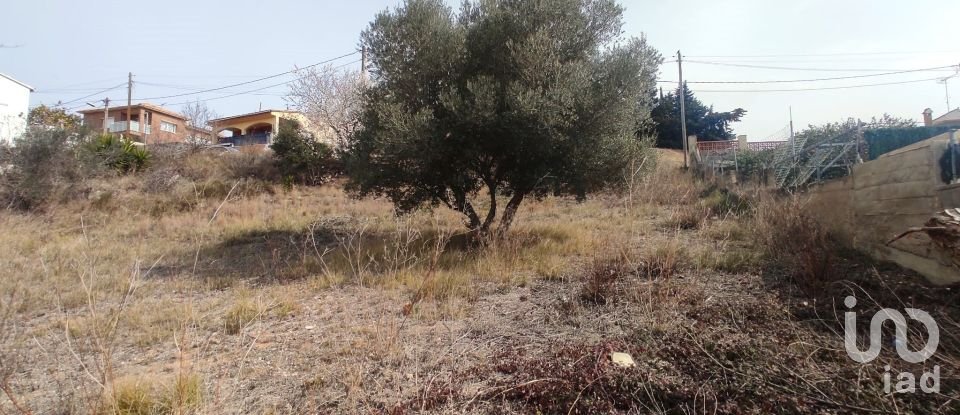 Terreno de 530 m² en La Bisbal del Penedès (43717)