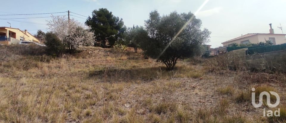 Terreno de 530 m² en La Bisbal del Penedès (43717)