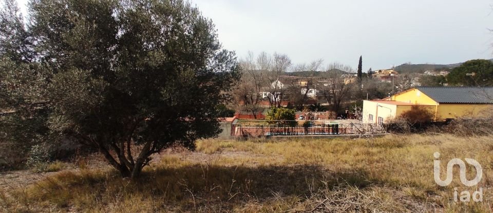 Terreno de 530 m² en La Bisbal del Penedès (43717)