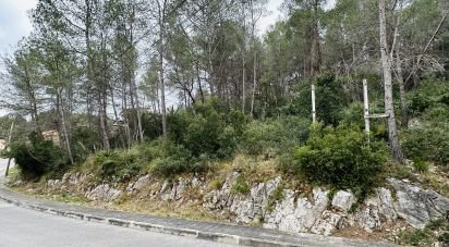 Terreno de 878 m² en Olivella (08818)