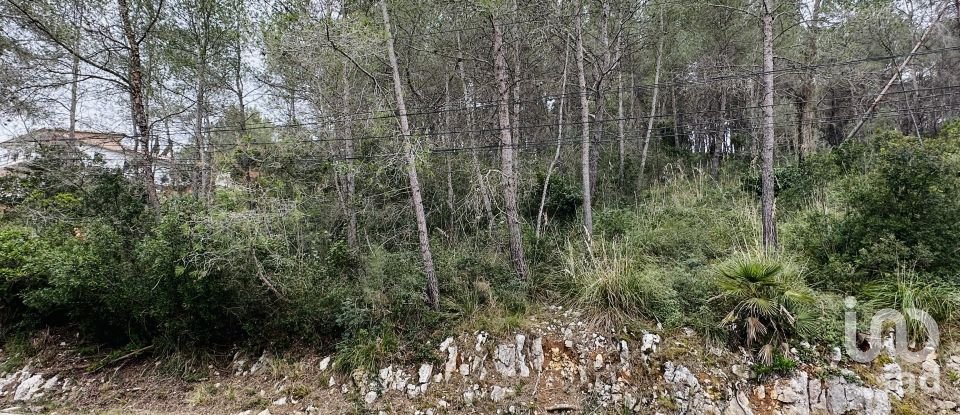 Land of 878 m² in Olivella (08818)