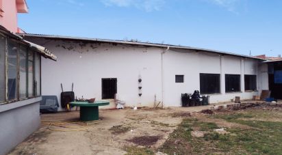 Casa 4 habitaciones de 713 m² en Estebanez de La Calzada (24288)