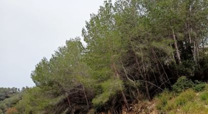 Land of 879 m² in Sant Pere de Ribes (08810)